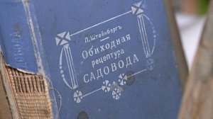 История в переплёте: в Амурском краеведческом музее хранится 23 тысячи старинных изданий