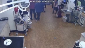 Пёс проходил осмотр у ветеринара, когда решил, что приём окончен