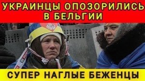 Я больше не помогаю беженцам. В гостях у Колобка