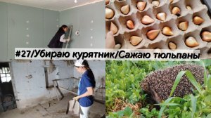 #27/Высадила тюльпаны, убираю курятник, ежик и речка🙂 из Карелии в Краснодарский край