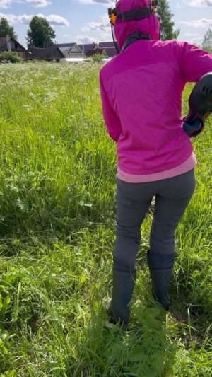 Трава за нашим участком, явно чувствует себя отлично