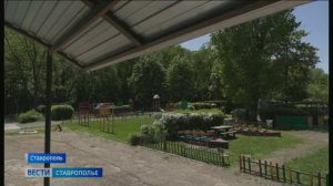 Глава Ставрополья поблагодарил воспитателей детсада, куда упали обломки украинского БПЛА