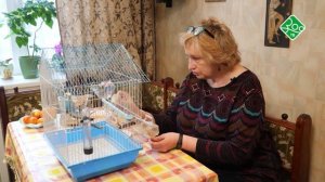 Чем кормить питомца? Анонс. Канал ЗОО ТВ