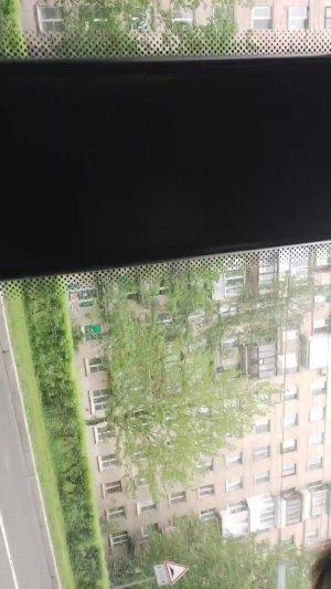 саревы