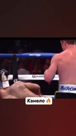 Вайб Канело 🔥