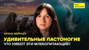 Удивительные ластоногие: суперы из океана | Ирина Мейнцер Лекция 2026 | Мослекторий