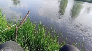Рефтинское . Завершение недельной рыбалки .