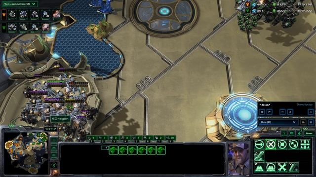 SC2 Тимофей ТвТ