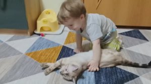 Друзья 🐈