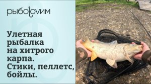 Весенняя рыбалка на карпа 2026.