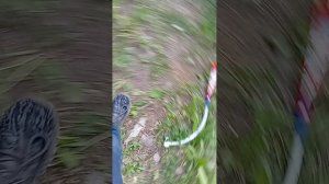 782.mp4