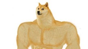 рай для ушей