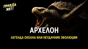 Архелон. Легенда океана или неудачник эволюции | ПРАВДА ЖЕ?!