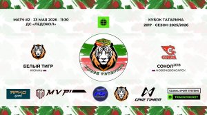 КУБОК ТАТАРИНА 23-24 мая Матч 2 «Белый тигр» г. Казань - «Сокол-18» г. Новочебоксарск