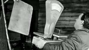 1970  год. Тюменская область. Разведение зеркального карпа