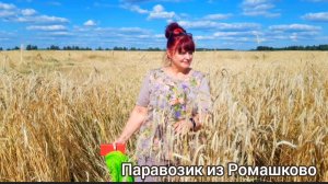Вот такая красота случается у нас по дороге.Кировская обл