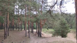 Трудовые династии в работе  по найму в организации. Сложности в их формировании