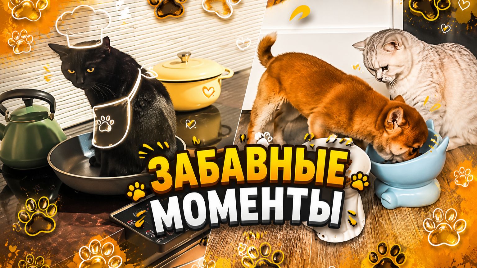 Лапки-Шоу #10 | Смешные хвостики