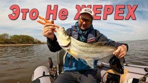 Ищем новые рыбные места на большой реке