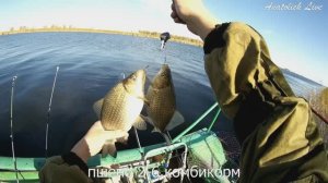 Какая прикормка лучше,ПШЕНО или КОМБИКОРМ_ Улов 29.5 кг