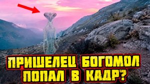 ФБР назвало подлинным фото гигантского «пришельца богомола» снятого в горах Тайваня