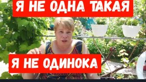 262🏡Я не одна такая /Я не одинока/Не надо меня жалеть, хожу как на работу