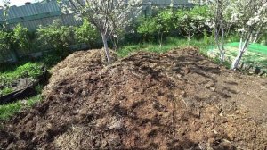 Круговорот навоза в нашем хозяйстве