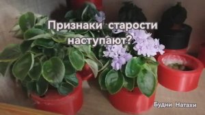 Наблюдаем признаки старости? Молодость состояние души?