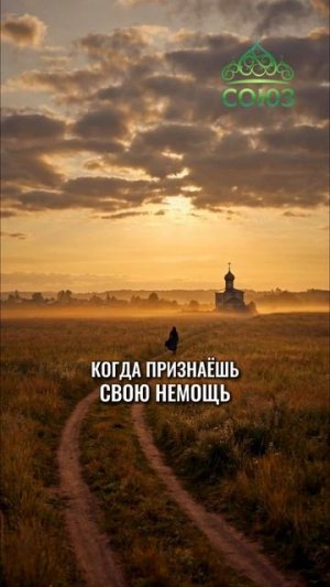 Слово дня - слабость