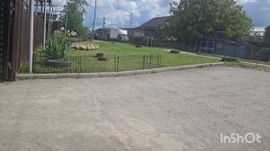 влог..посем гусят