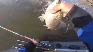 КАРАСИ КАБАНЫ🐟🐟🐟 КЛЮЮТ НА БОКОВОЙ КИВОК!!!