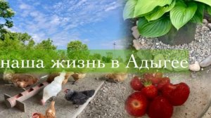 Жизнь на юге/ Адыгея/Он любит, а я боюсь/Уже краснеет/Разгрузочный день /Камешки для клумбы/