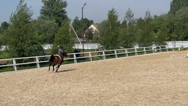 rutube.ru