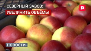 Правительство края обсудило поставки продовольствия и топлива на север. 22/05/2026