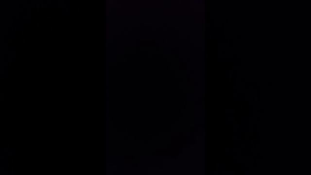 Я все утащила у неё из холодильника!!!
