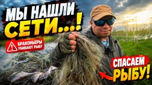 Рыба кишела под ногами… пока мы не нашли ЭТО | Мормышинг на заливе с CF Nano Travel Air