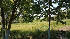 Маки исчезли за 5 минут 😱Чем занимаюсь сегодня! Юг России 🌴.