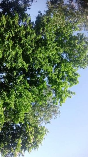 ребята у меня сирена орёт 05.22.26