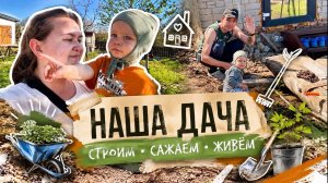 Весенние хлопоты на даче 🌿