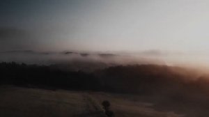 #2 Красивое Видео Природы
