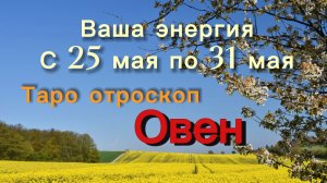 ОВЕН  ваша энергия !💕с 25  по 31 мая ‼️ #гадание #таро #раскладтаро