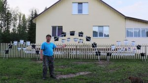 Прошлогодняя Мечта Жены! Сделал еще 2 Цветочных Арки!