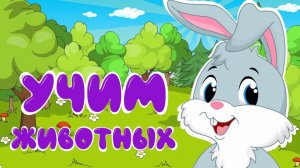 Учим животных для детей