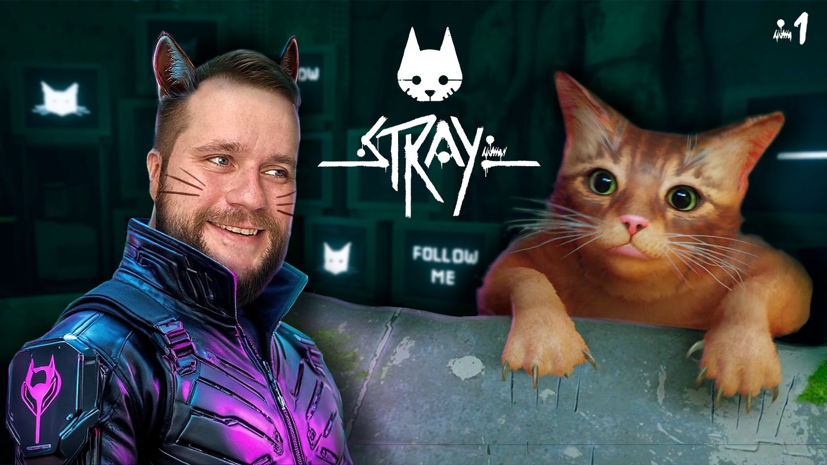 Кошачьи дела! // STRAY #1