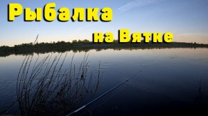 Ловля чехони на Вятке. Что-то пошло не так...