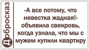 -А все потому, что невестка жадная!- объявила свекровь, когда узнала, что мы с мужем купили квартиру