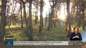 Ограничение на пребывание в лесах