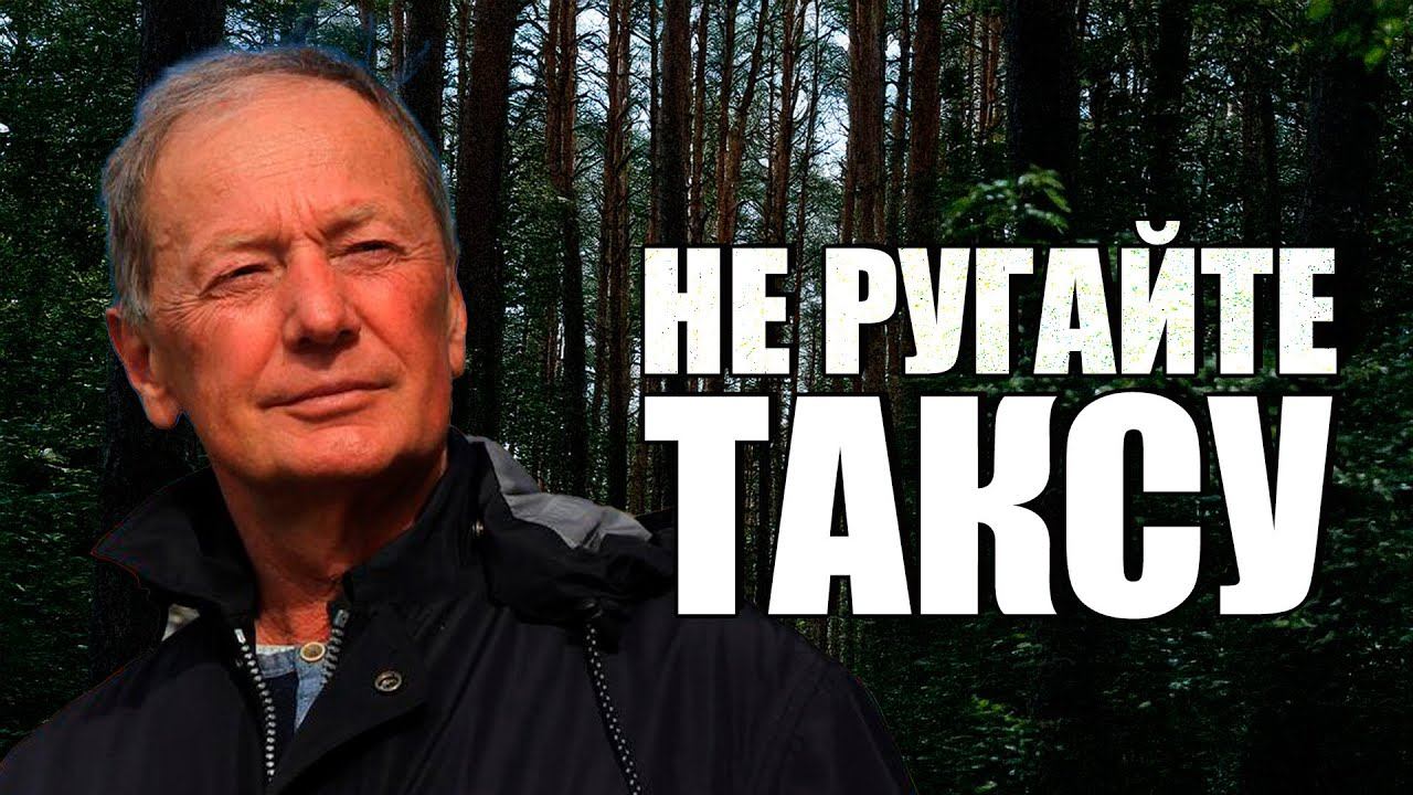 Михаил Задорнов - Не ругайте таксу | Лучшее из юмористических концертов смотреть онлайн