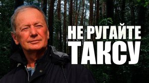 Михаил Задорнов - Не ругайте таксу | Лучшее из юмористических концертов