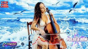 PULSE & BOW-melodic techno classical